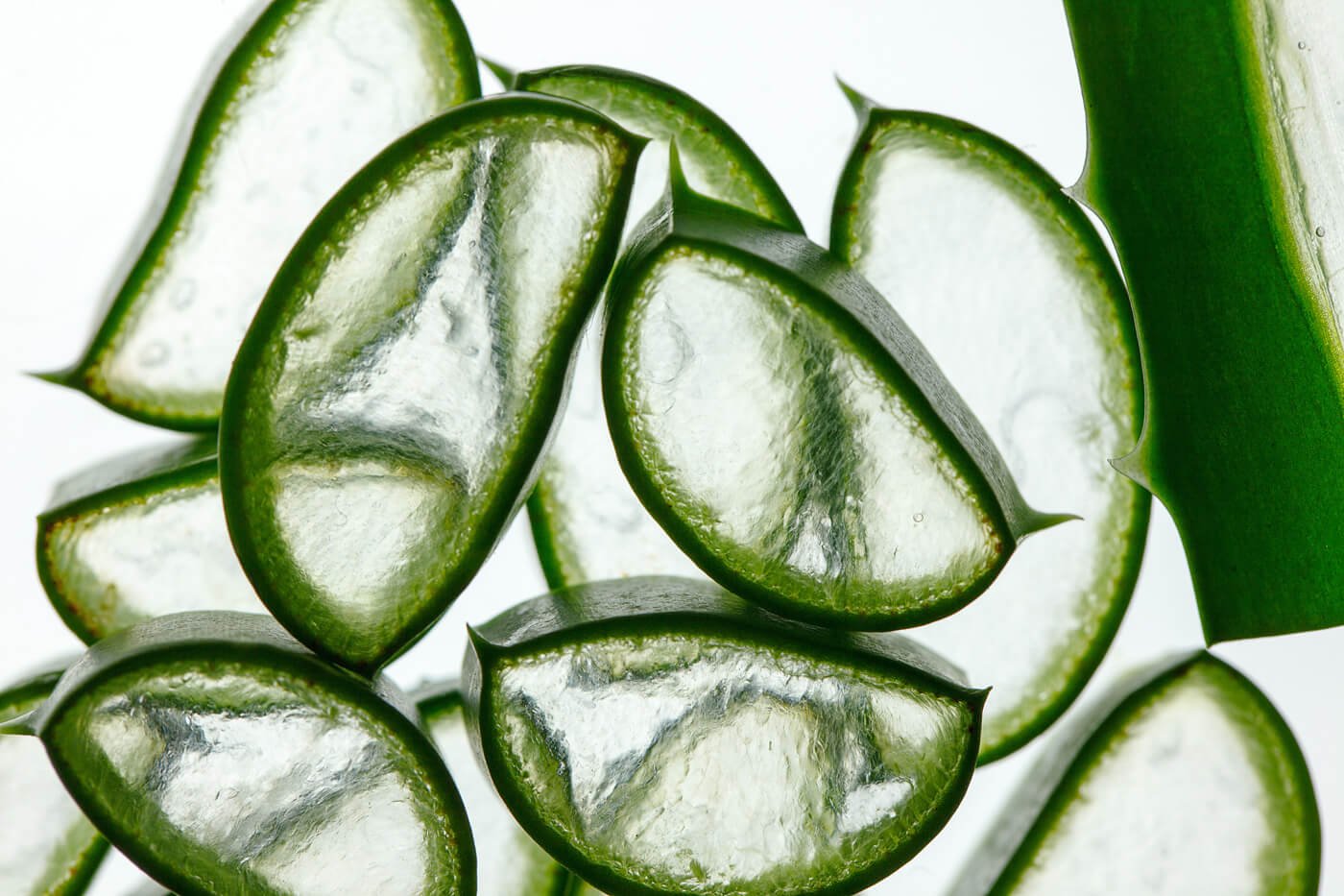 Aloe Veranın Cilt Bakımına Etkileri