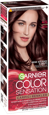 Garnier Color Sensation 4.15 Buzlu Kestane Saç Boyası
