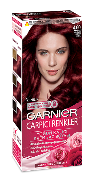 Garnier Sac Boyasi Katalogu 2018